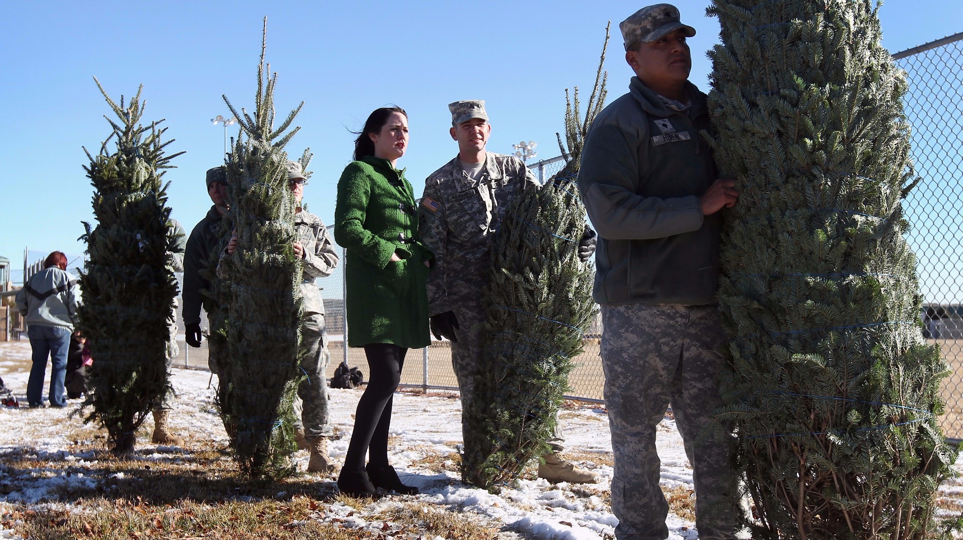 Trees for Troops gives Christmas trees to Colorado soldiers